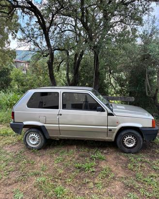 Fiat Panda young