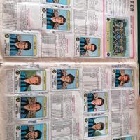 album panini figurine 1980/81  calciatori panini 