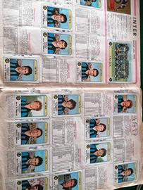 album panini figurine 1980/81  calciatori panini 