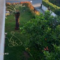 Casa Indipendente a Terracina+giardino terrazzi