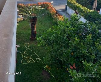 Casa Indipendente a Terracina+giardino terrazzi