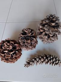 pigne naturali 