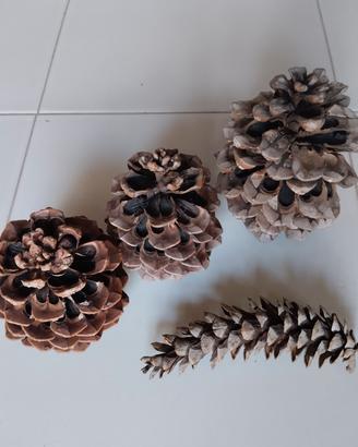 pigne naturali 
