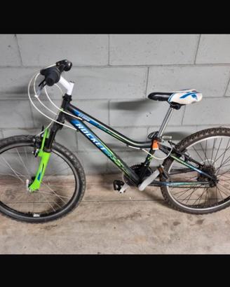 Bicicletta