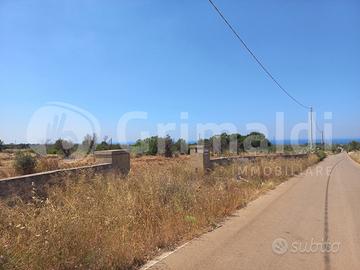 Terreno Agricolo Alliste [47titoschipaVCG]