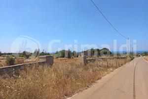 Terreno Agricolo Alliste [47titoschipaVCG]