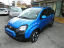 fiat-panda-1-0-hybrid-70cv-pandina-km-zero