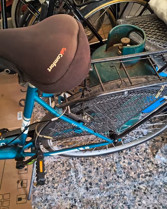 bici da passeggio 