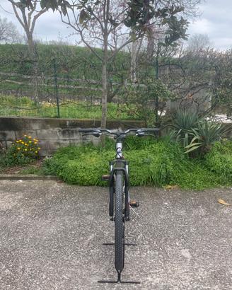 Bici atala