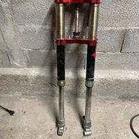 Forcelle hm 50