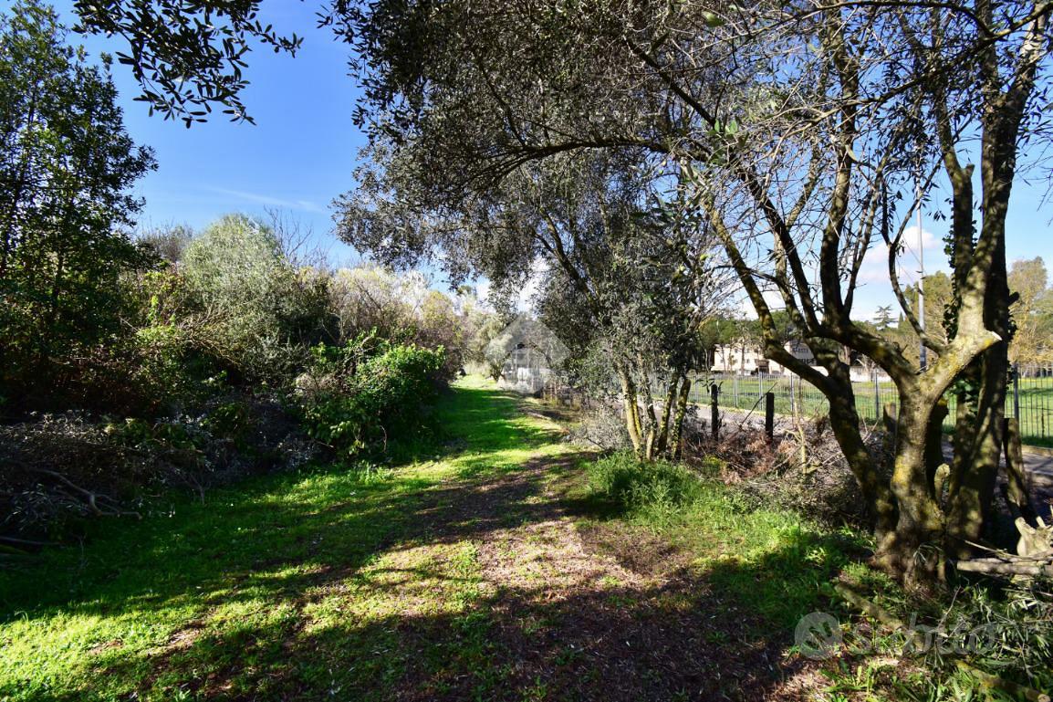 TER. AGRICOLO A ROMA - Vista 4