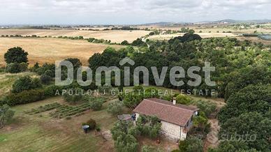 Rustico / Casale di 170 m² con 5 locali a Capalbio