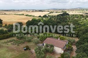 Rustico / Casale di 170 m² con 5 locali a Capalbio