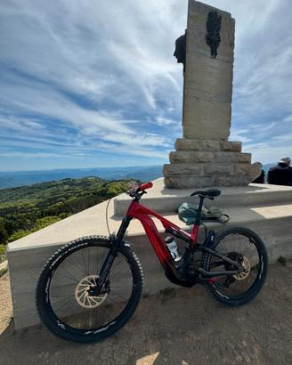 Ebike MTB HAIBIKE CF9 All-mountain