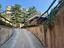 Immagine 11