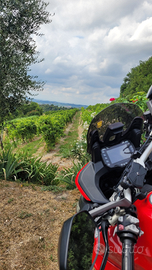 Multistrada 950S