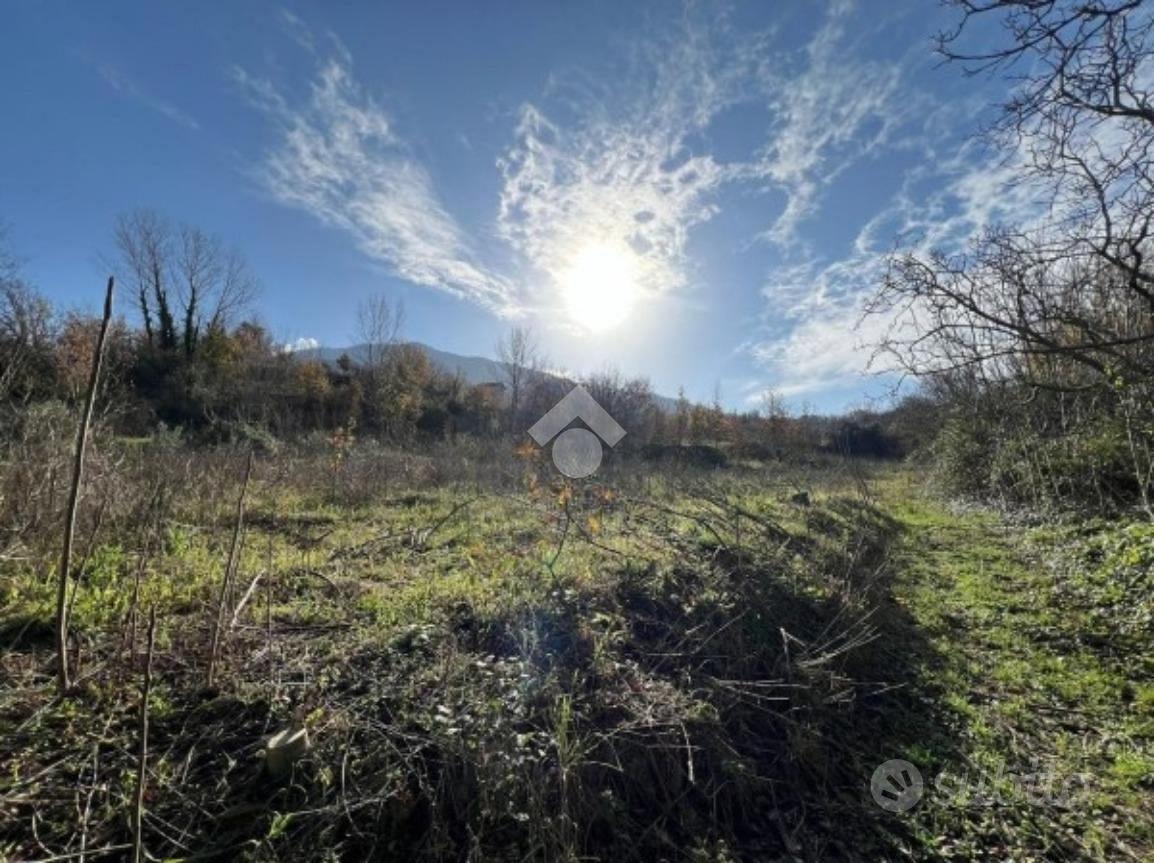 TERRENO A POLLENA TROCCHIA - Altro