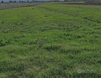 Appezzamento di terreni agricoli