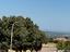 Immagine 11