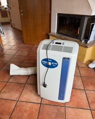 condizionatore pinguino DeLonghi