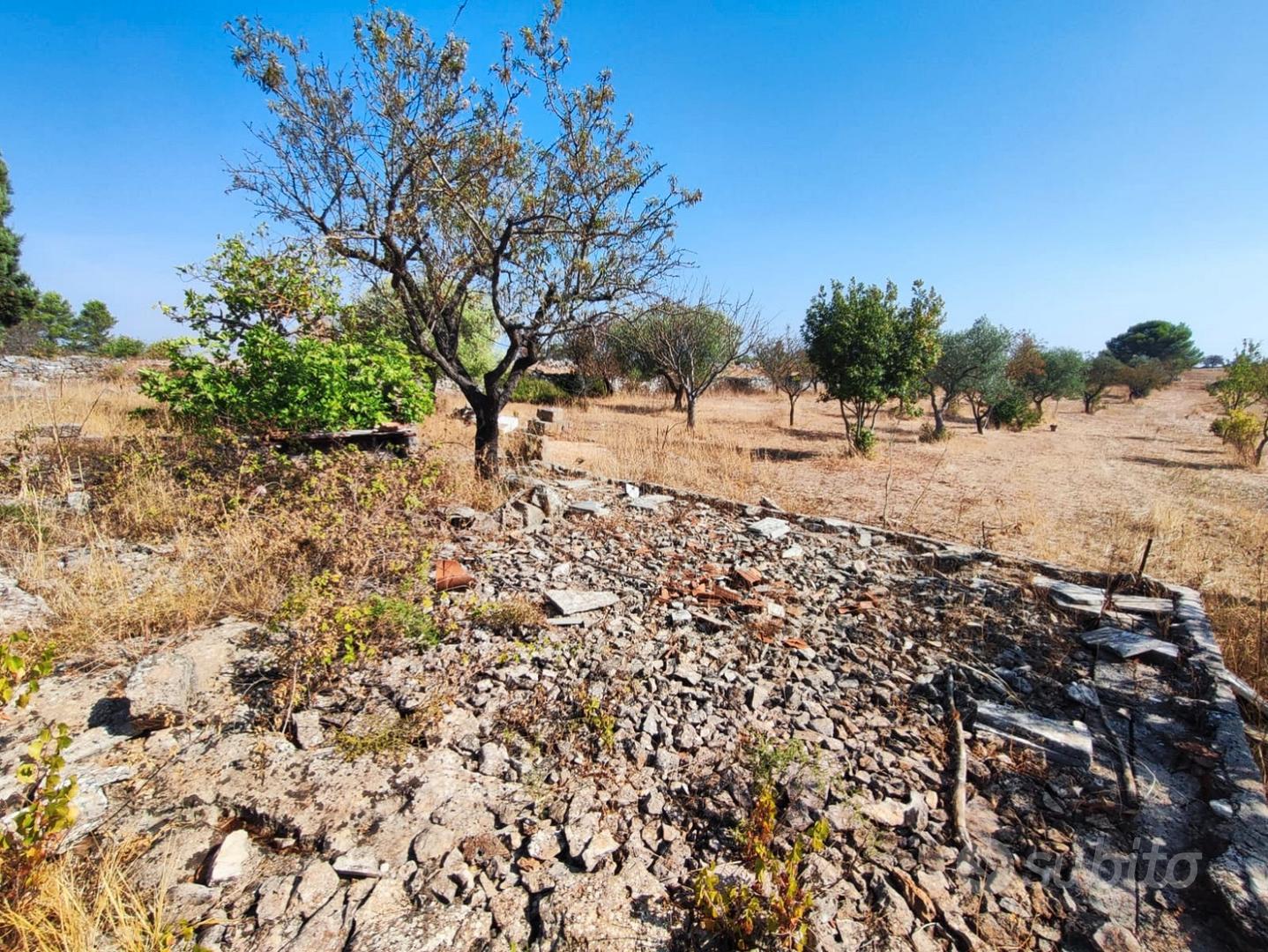 Altamura, via buoncammino, terreno+ulivi - Vista 4