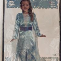costume di carnevale Elsa Frozen 