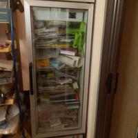 Vetrina frigor per bar o negozi