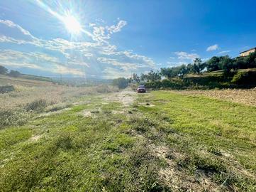 TER. AGRICOLO A MOSCUFO