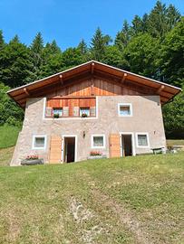 Baita Val Algone Trentino
