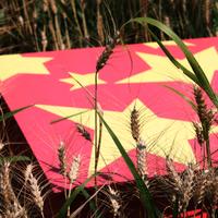 Tavolino da the cinese