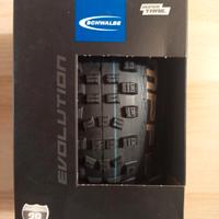 coppia copertoni schwalbe