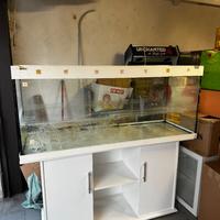 Acquario Juwel Rio 400