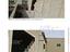 Immagine 14