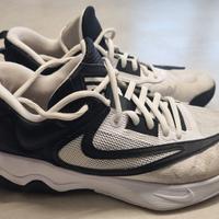 Scarpe da basket Nike Giannis Immortality 3 num.41