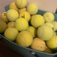50 Palline da  tennis