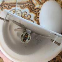 Coppia plafoniere con lampadina e14 attacco piccol