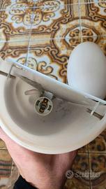 Coppia plafoniere con lampadina e14 attacco piccol