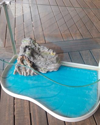 Acquario per tartarughine pesciolini