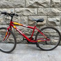 Mountain bike