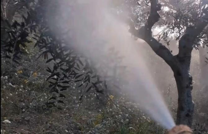 Irroratrice a scoppio