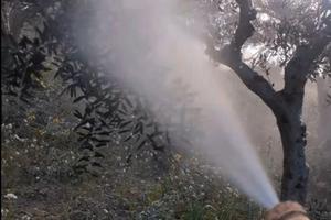 Irroratrice a scoppio