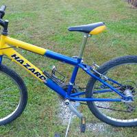 bicicletta mtb ragazzo 24