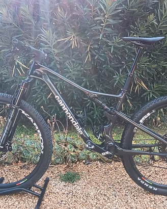 cannondale scalpel carbon  2025 