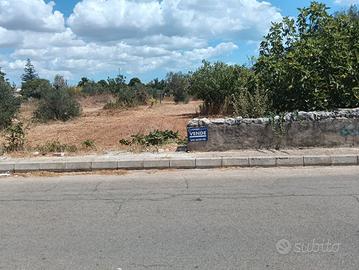 Tricase - Terreno in via Due Giugno