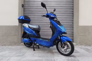 Scooter elettrico RACCEWAY® E-FICHTL con batteria