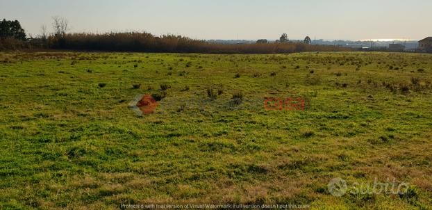 Pontecagnano- Terreno Agricolo