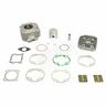 gruppo-termico-athena-070100-70cc-bw-s-booster