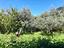 Immagine 25