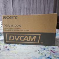 Sony DVCAM PDVM-22N