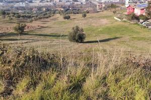 Appezzamento di Terreno
